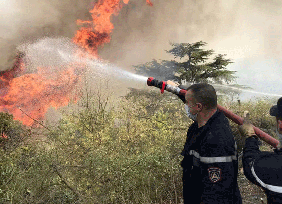 40 départs de feu maîtrisés en 24h : La Protection civile à pied d’œuvre