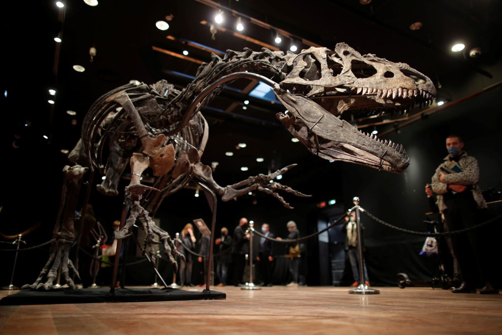 Le «dernier titan» : la Thaïlande dévoile le plus grand dinosaure jamais découvert en Asie du Sud-Est