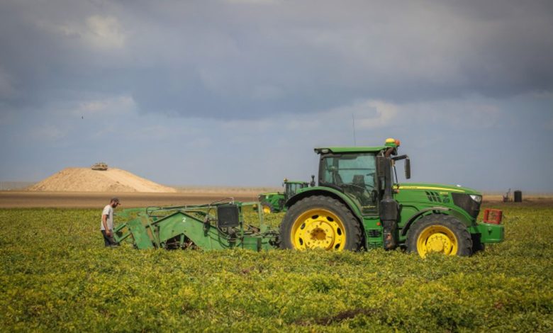 FAO Food Price Index Stabilizes in May Amid Mixed Commodity Trends