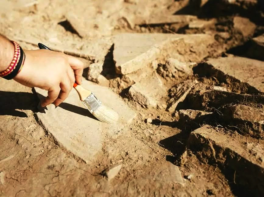 Paleolithic Site in Algeria Yields Million-Year-Old Elephant Tusk