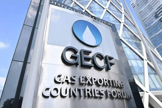 Perspectives des marchés de l’énergie : «Le gaz, pierre angulaire du mix énergétique mondial», Selon le GECF